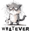 Mürrisch Katze