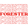 Forester Conservationist Woodland Manager