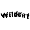 Chat sauvage