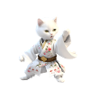 A white cat