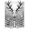 Antler's Dream