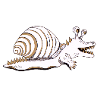 Crocargo