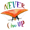 Never give up