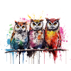 Grafitti Owls