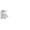 Viking