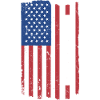 Sport Us Flag Skateboarding