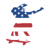 Sport Us Flag Skateboarding
