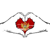 Montenegro flag shape used