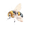 Bee Happy