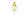 Bee Child