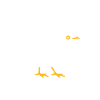 Humour Cailles oiseaux Petite caille