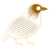 quail small quail bird