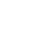 quail small quail bird