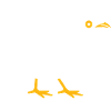 quail small quail bird