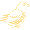 quail small quail bird