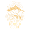 Camping Collie barbu