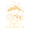Lagotto Romagnolo Camping