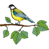 Bunter Vogel