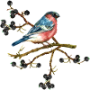 Bunter Vogel