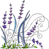 Lavender