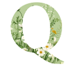 Buchstabe Q, Monogramm, Blumenmuster