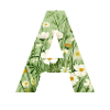 Buchstabe A, Monogramm, Blumenmuster