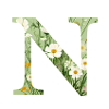 Buchstabe N, Monogramm, Blumenmuster