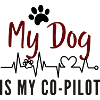 Dog is My Co-Pilot