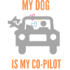 Dog is My Co-Pilot