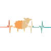 Sheep heartbeat