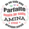 AMINA PARFAITE - PRENOM AMINA
