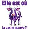 vache, vache humour, vache mauve