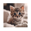 Curious kitten eyes