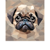 Polygonal Pug Look