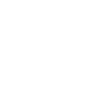 Capybara Capybara Funny