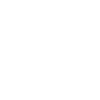 Golden retriever energy