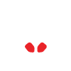 Lustiges Pickleball Geschenk