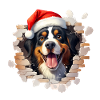 Bernese Mountain Dog with Santa Hat