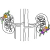 J’aime Néphrologie - Reins fleuris
