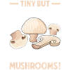 Champignons Cadeaux