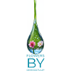 Raindrop