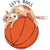 Chat et basket-ball