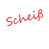 an scheiß muas i