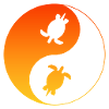 Schildkröte Yin Yang Turtle