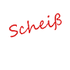 nen scheiß muss ich