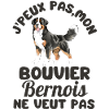 bouvier bernois chien mignon 2