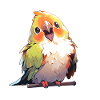 Parrots