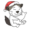Cat Cute Ragdoll Tired Christmas