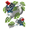 Poison dart frog