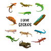 Ich liebe Geckos
